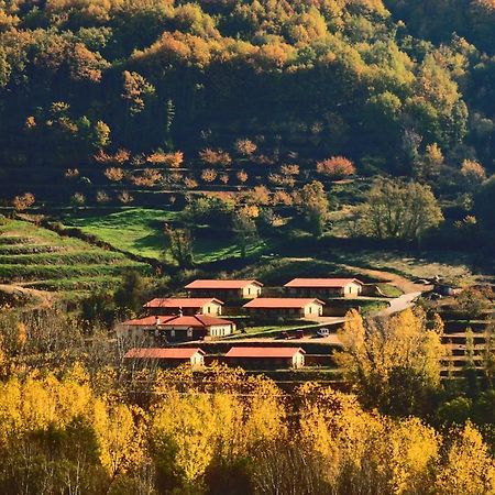 Apartamentos Rurales La Vega Del Jerte Bagian luar foto