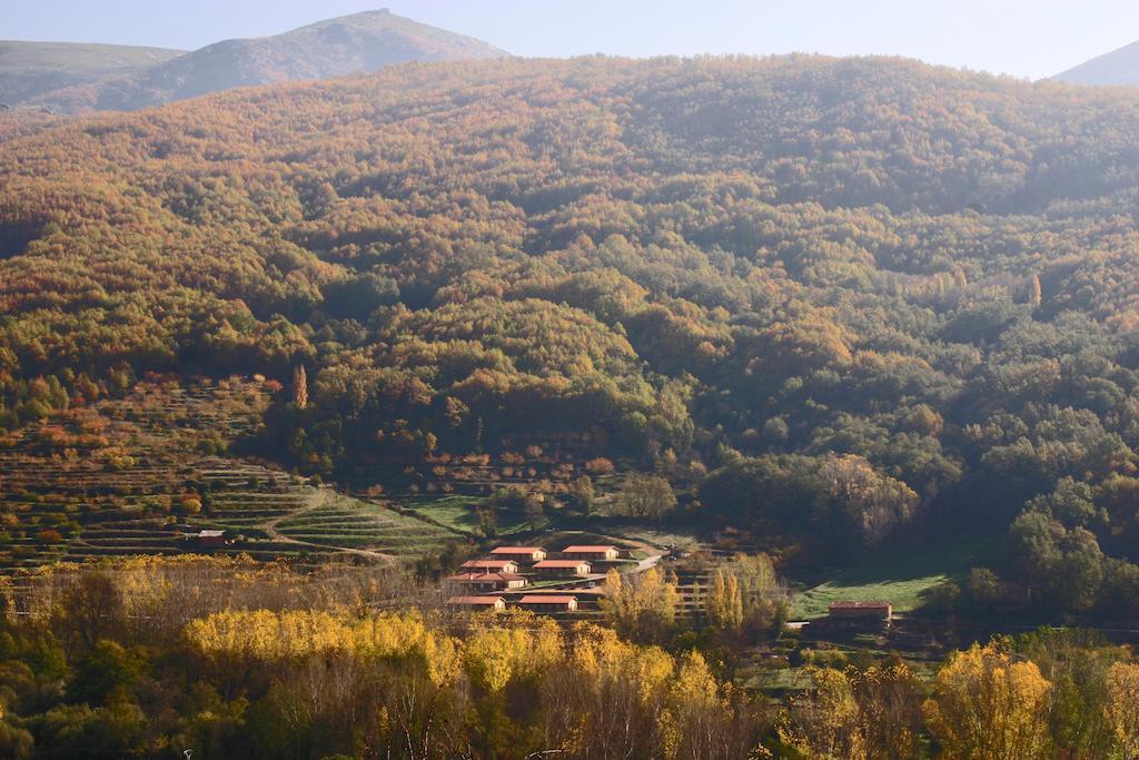 Apartamentos Rurales La Vega Del Jerte Bagian luar foto